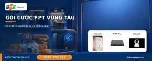 Gói cước FPT Vũng Tàu theo nhu cầu sử dụng